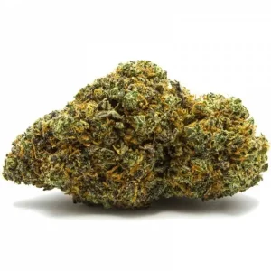 Blueberry Muffin Strain premium exotic cannabis flower buds