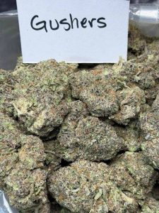 Gushers Strain premium exotic cannabis flower buds