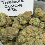 Grape Ape Strain premium purple cannabis flower buds