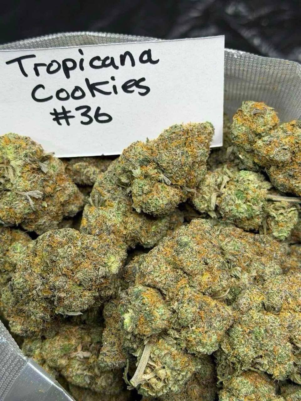 Tropicana Cookies – Premium High-Potency Cannabis Strain Grape Ape Strain premium purple cannabis flower buds