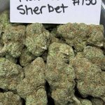 Rainbow Sherbet Strain premium exotic cannabis flower buds